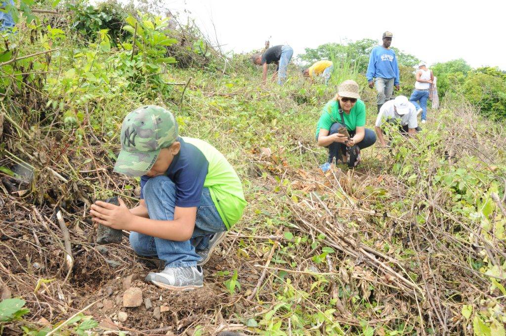 El IDAC celebrará este sábado el Día del Árbol con jornadas de reforestación