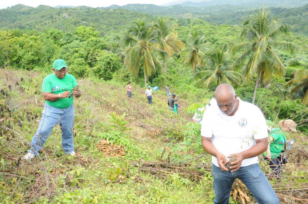 El IDAC celebrará este sábado el Día del Árbol con jornadas de reforestación 1