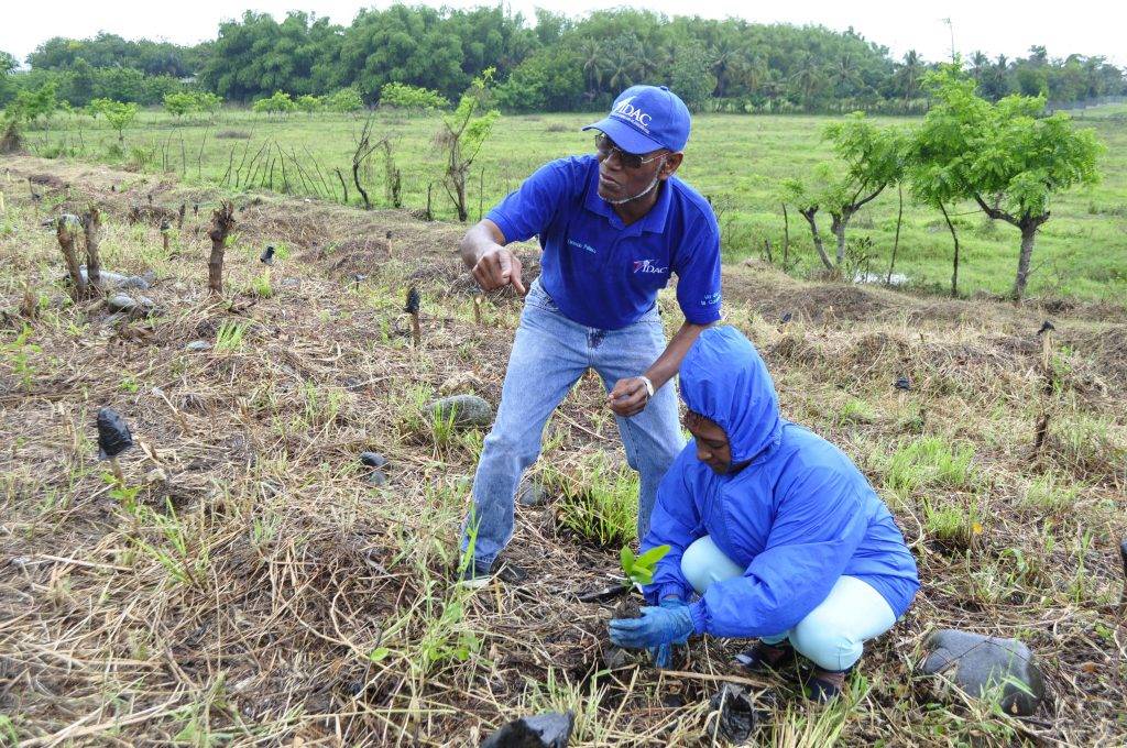 Personal en pleno del IDAC en exitosa jornada de reforestación 1